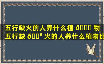 五行缺火的人养什么植 🐋 物（五行缺 🐳 火的人养什么植物比较好）